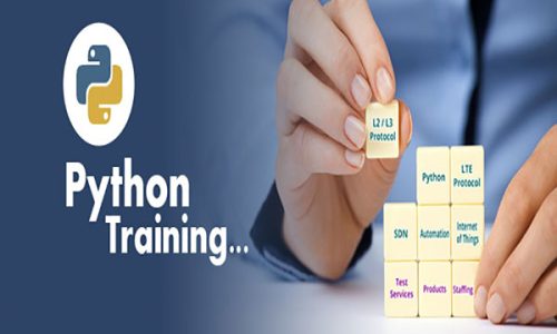 Python Online Training