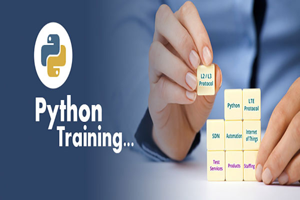 Python Online Training