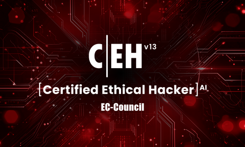 CERTIFIED ETHICAL HACKER TRAINING PROGRAM