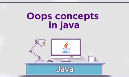 OOPs in Java Beginner