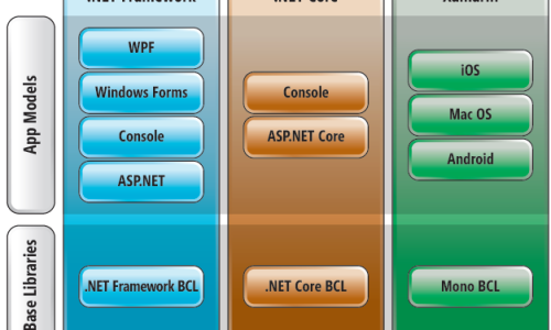 Full Stack .NET Developer